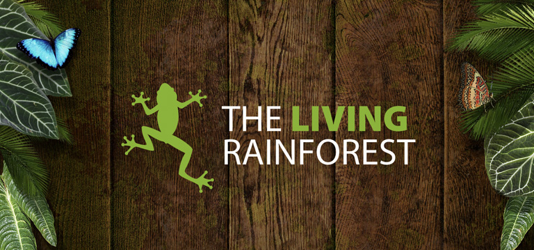 The Living Rainforest Trip