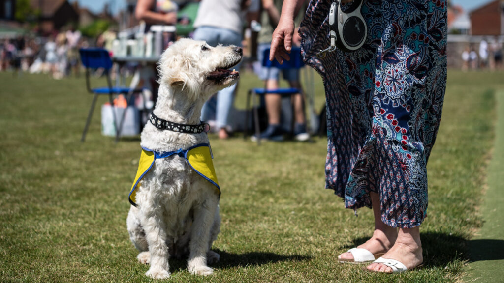 Throw a Bone to Wyvern House Mayville High School